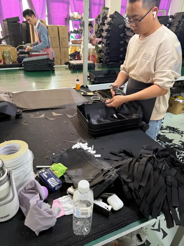 Luggage Assembly